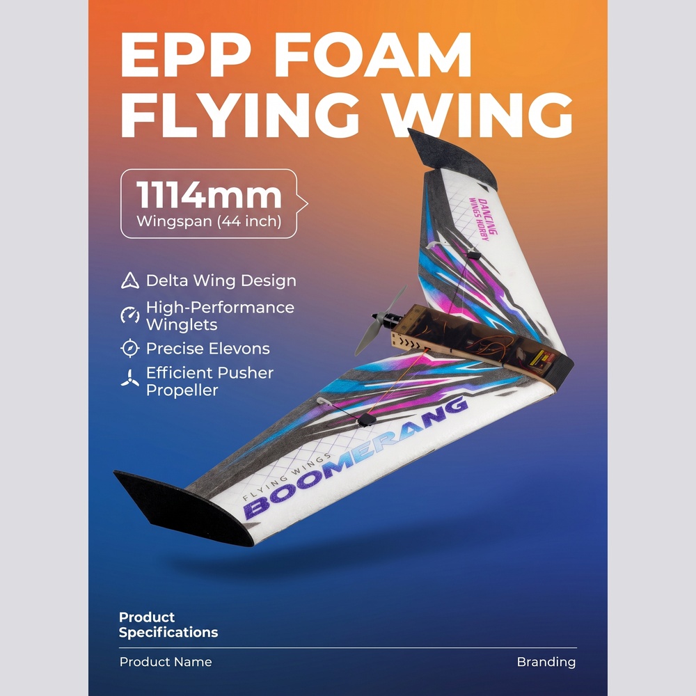 Diy Electronics Hobby - Boomerang 44