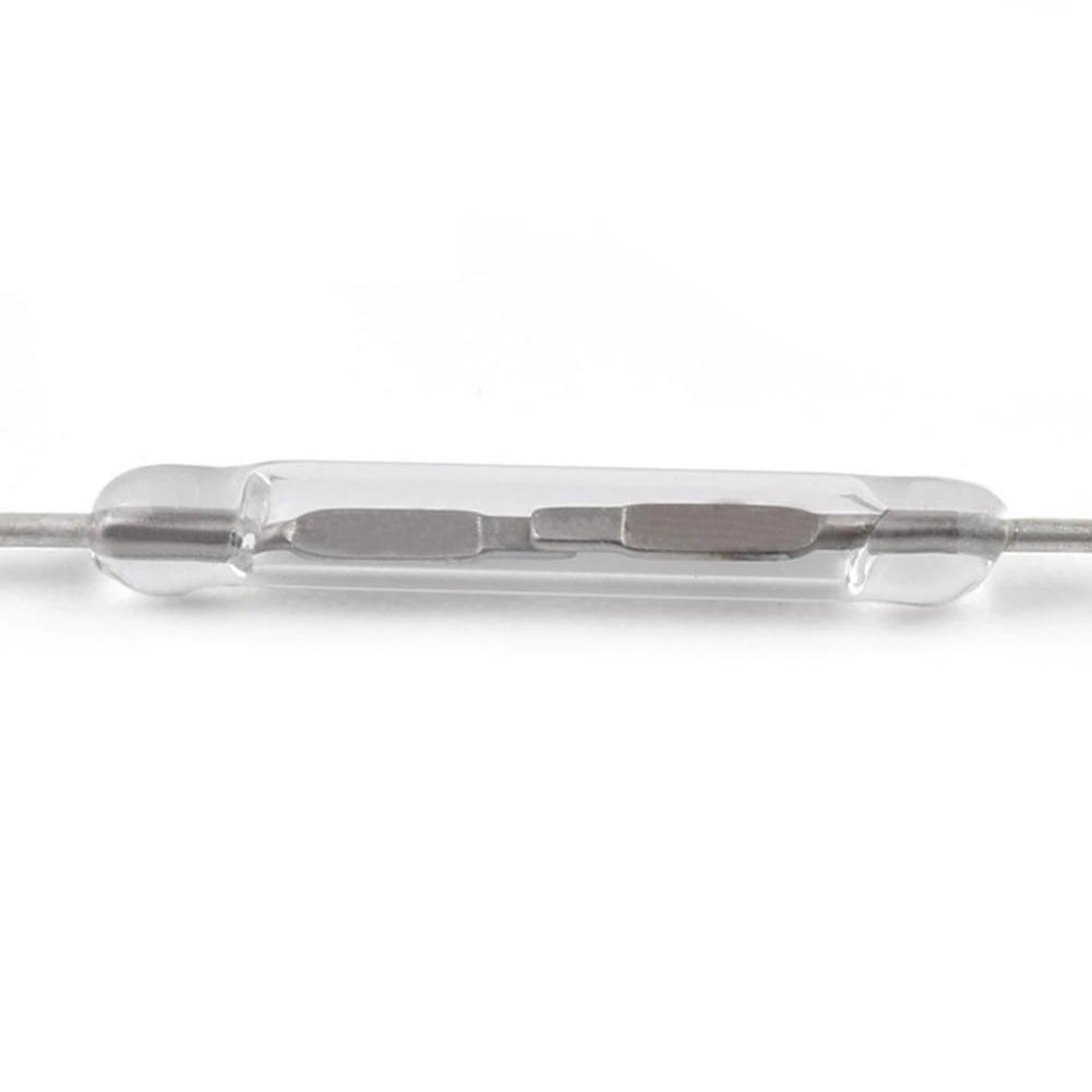 10 stuks DIY magnetische reeds - Diy Electronic Components recensie en prijs